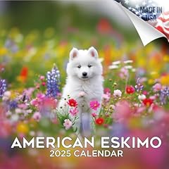 2024 2025 american for sale  Delivered anywhere in USA 