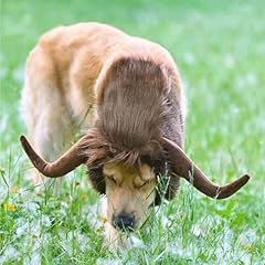 Halloween dog horn for sale  Delivered anywhere in USA 