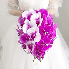 Ansuma phalaenopsis orchid for sale  Delivered anywhere in USA 