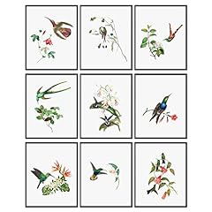 Decor hummingbird wall for sale  Delivered anywhere in USA 