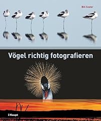 Vögel richtig fotografieren gebraucht kaufen  Wird an jeden Ort in Deutschland