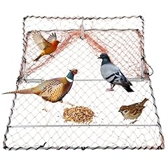 Nunadano pheasant bird for sale  Delivered anywhere in USA 