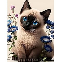 Eobromd siamese cat for sale  Delivered anywhere in UK