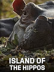 Island hippos for sale  Delivered anywhere in UK