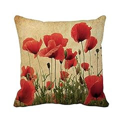Awowee throw pillow for sale  Delivered anywhere in USA 