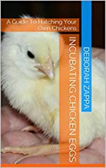 Incubating Chicken Eggs: A Guide To Hatching Your Own for sale  Delivered anywhere in UK