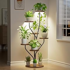 Bacekoll tree shaped for sale  Delivered anywhere in USA 