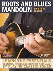Roots blues mandolin for sale  Delivered anywhere in USA 