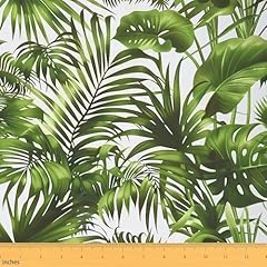 Erosebridal palm tree for sale  Delivered anywhere in USA 