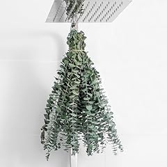 Pcs dried eucalyptus for sale  Delivered anywhere in USA 