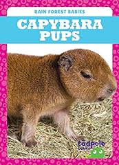 Capybara pups for sale  Delivered anywhere in USA 