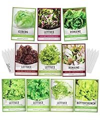 Salad greens lettuce for sale  Delivered anywhere in USA 