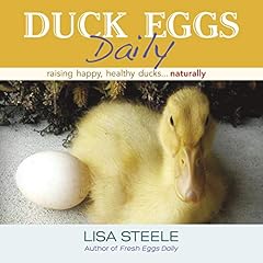 Duck eggs daily for sale  Delivered anywhere in USA 