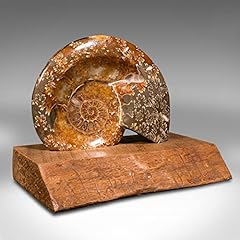 Ammonite décorative vintage d'occasion  Livré partout en France