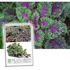 Red russian kale for sale  Delivered anywhere in USA 