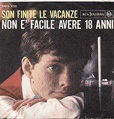 Son finite vacanze usato  Spedito ovunque in Italia 