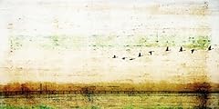 Parvez taj birds for sale  Delivered anywhere in USA 