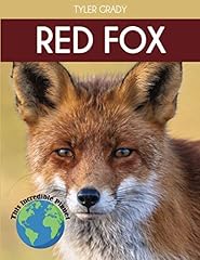 Red fox fascinating for sale  Delivered anywhere in UK