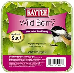 Kaytee wild berry for sale  Delivered anywhere in USA 