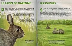 Petit livre vert d'occasion  Livré partout en France