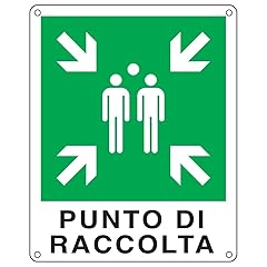 Cartello emergenza 25x31 usato  Spedito ovunque in Italia 