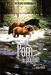 Pom poulain d'occasion  Livré partout en France