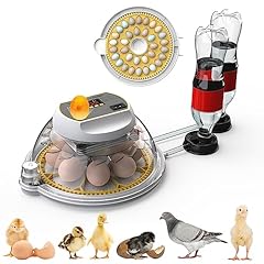 Eggs incubator hatching for sale  Delivered anywhere in USA 