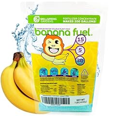 Wellspring gardens banana for sale  Delivered anywhere in USA 