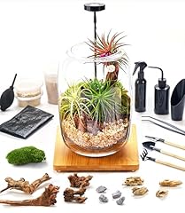 Terrarium kit supplies for sale  Delivered anywhere in USA 