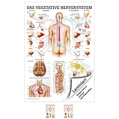 Sport tec vegetatives gebraucht kaufen  Wird an jeden Ort in Deutschland
