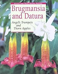 Brugmansia and datura d'occasion  Livré partout en France