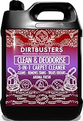 Dirtbusters clean deodorise usato  Spedito ovunque in Italia 