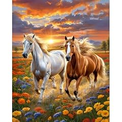Cviokrdu horse paint for sale  Delivered anywhere in USA 