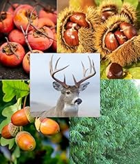 Big buck hunter for sale  Delivered anywhere in USA 