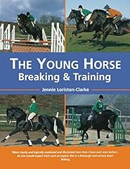Young horse breaking for sale  Delivered anywhere in USA 
