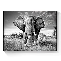 Sunflax wild elephant for sale  Delivered anywhere in USA 