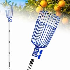 Ginbel direct fruit for sale  Delivered anywhere in USA 