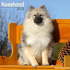 Keeshond calendar 2024 for sale  Delivered anywhere in UK