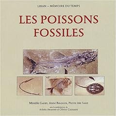 fossile poisson occasion d'occasion  Livré partout en France