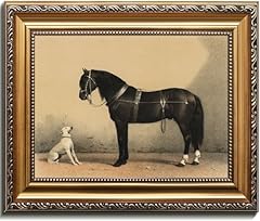 Kizbok gold framed for sale  Delivered anywhere in USA 
