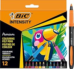 Bic intensity premium usato  Spedito ovunque in Italia 