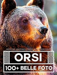 Libro dell orso usato  Spedito ovunque in Italia 