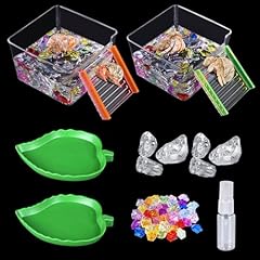 Pack hermit crab for sale  Delivered anywhere in USA 