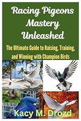 Racing pigeons mastery for sale  Delivered anywhere in USA 