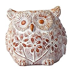 Succulent planter planter for sale  Delivered anywhere in USA 