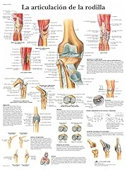 Scientific vr3174l poster usato  Spedito ovunque in Italia 