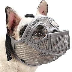 Barkless french bulldog for sale  Delivered anywhere in USA 