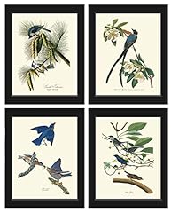 Bird print wall for sale  Delivered anywhere in USA 