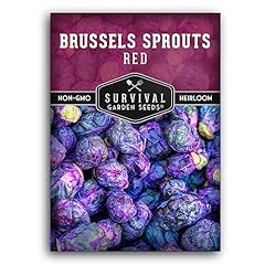 Red brussels sprouts for sale  Delivered anywhere in USA 