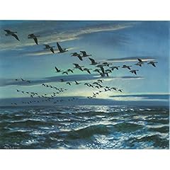 Grey geese sea for sale  Delivered anywhere in UK